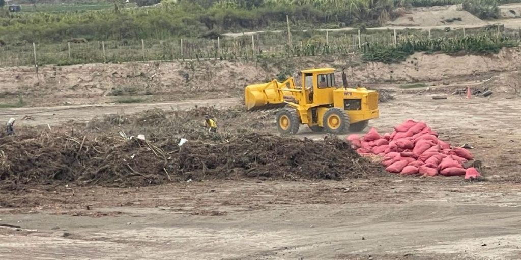 Compost Organico